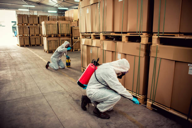 Best Affordable Pest Control Services  in Mukwonago, WI