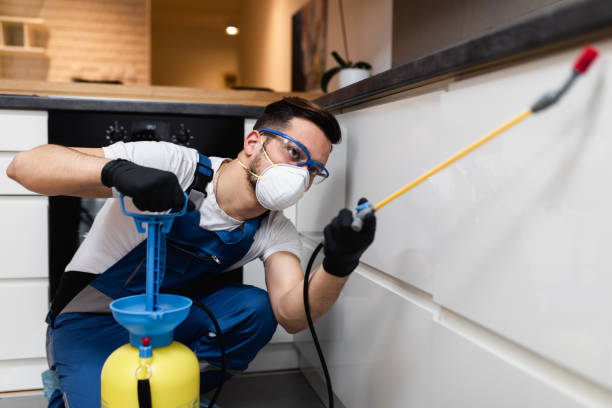 Best Termite Control Services  in Mukwonago, WI