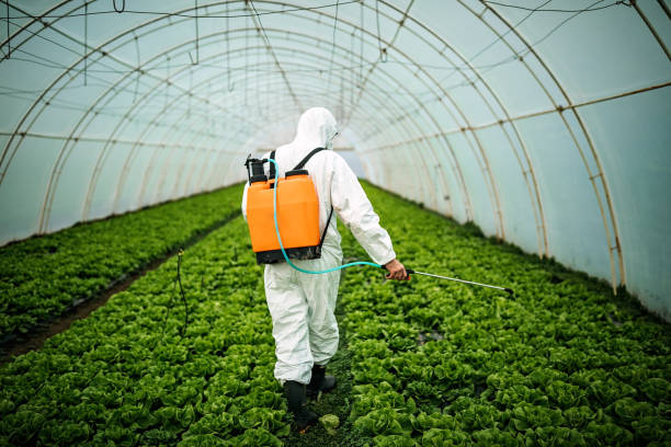 Best Pest Control Near Me in Mukwonago, WI