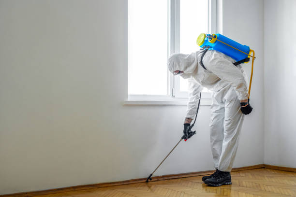 Best Residential Pest Control  in Mukwonago, WI
