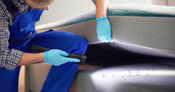 Best Pest Control Near Me  in Mukwonago, WI
