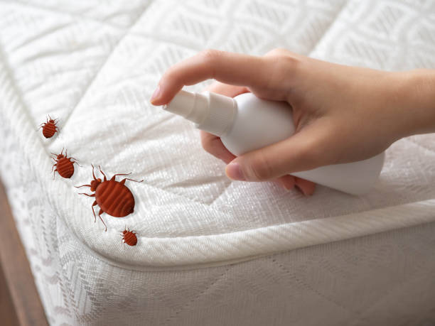 Best Local Pest Control Services  in Mukwonago, WI