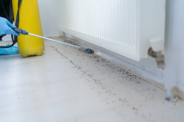 Best Wasp Removal Services  in Mukwonago, WI