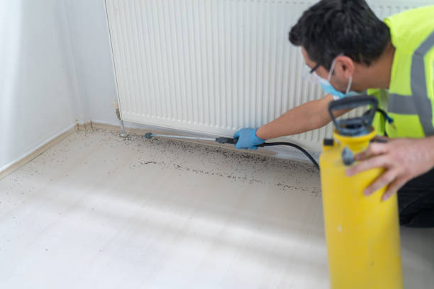 Best Pest Inspection Near Me  in Mukwonago, WI