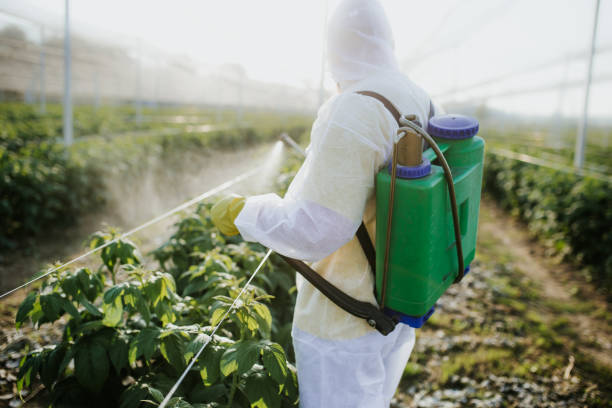 Best Residential Pest Control  in Mukwonago, WI